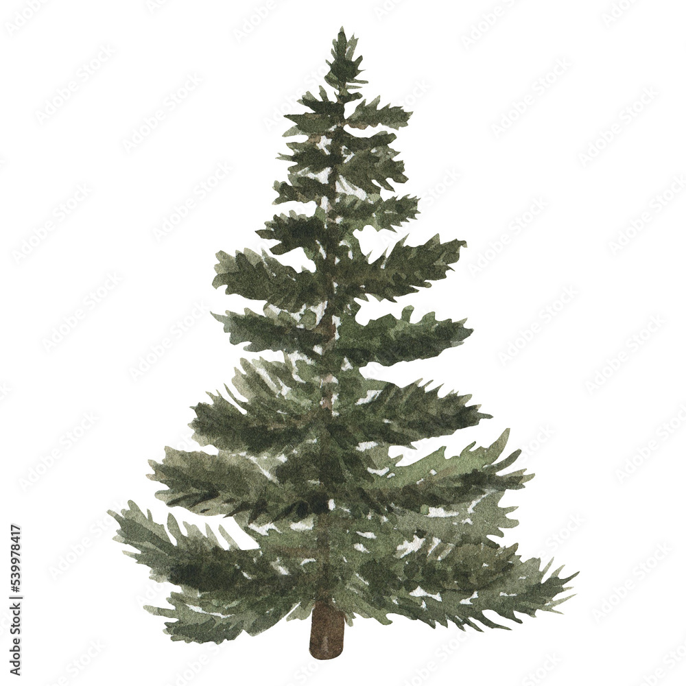 Fototapeta premium Christmas tree watercolor illustration