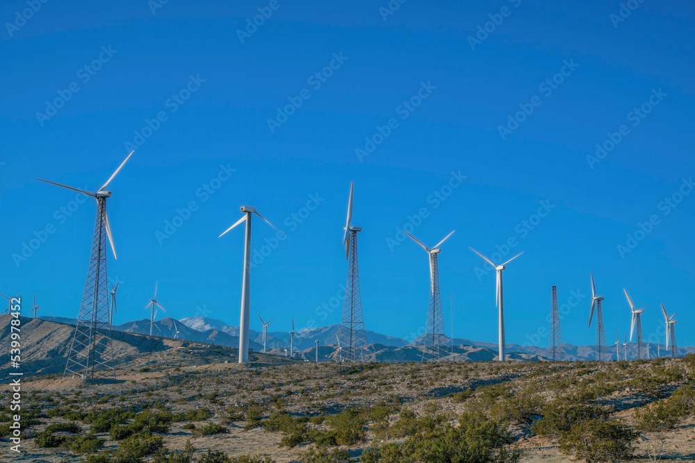 Wind turbines with lattice and tubular steel towers on a desert with wild shrubs in California