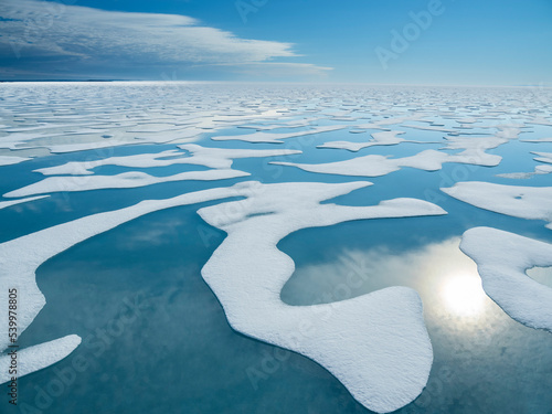 Melt water pools in the 10/10ths pack ice in McClintock Channel, Northwest Passage, Nunavut, Canada