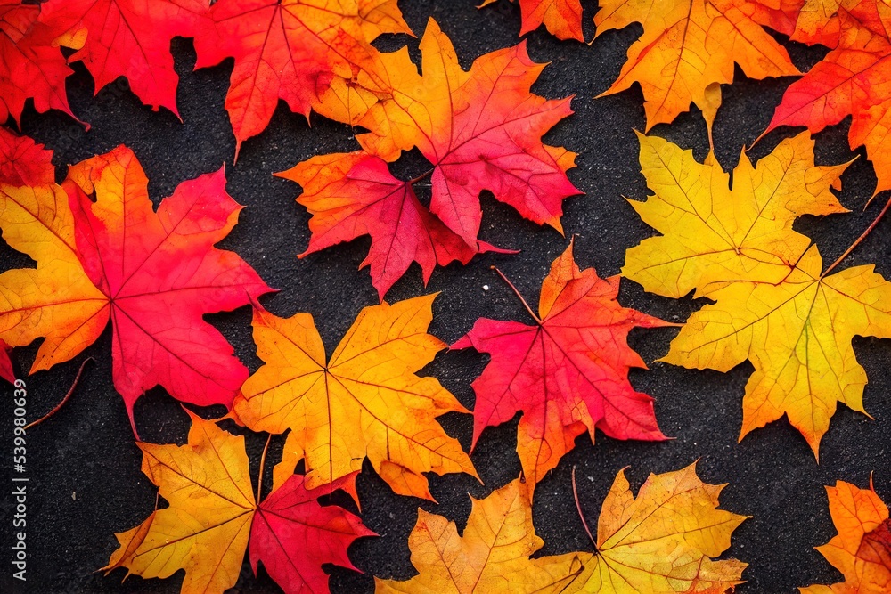 3D illustration - 00027 - Colorful Autumn Maple Leaves On The Ground