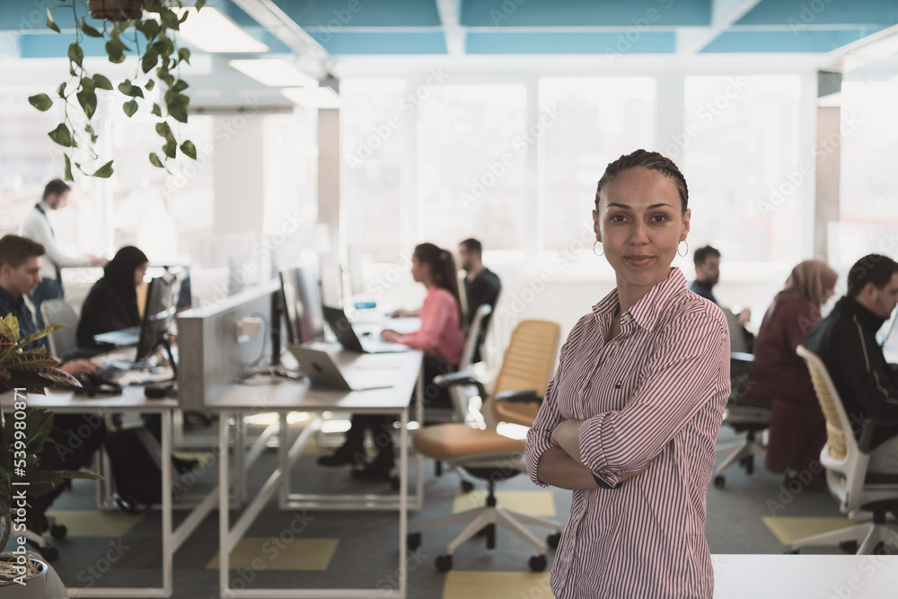 Portrait of young smiling business woman in creative open space coworking startup office. Successful businesswoman in modern office. Team of Coworkers working in background. Portrait of young smiling business woman in creative open space coworking startup office. Successful businesswoman in modern office. Team of Coworkers working in background.