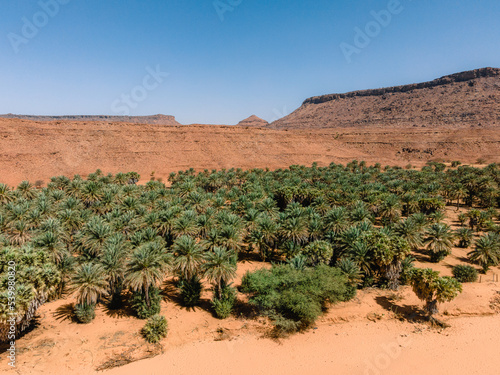 The Oasis of Diouk, Mauritania, Sahara Desert photo