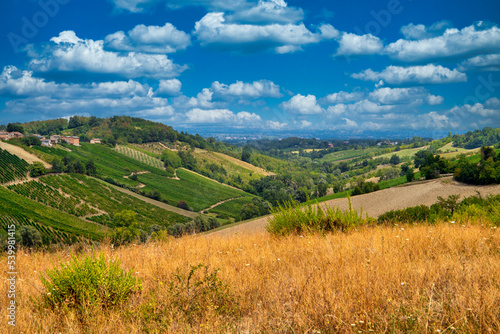 Hills and vineyards in the summer season, Bobbio, Piacenza district, Emilia Romagna, Italy photo