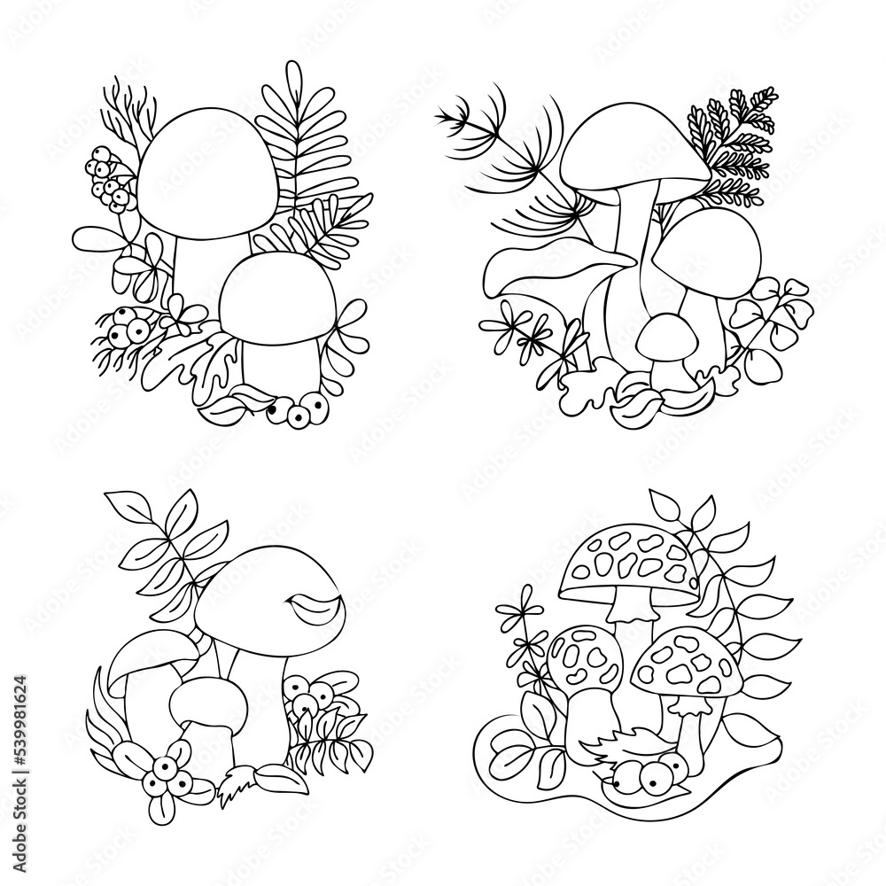 collection of hand drawn mushrooms in cartoon doodle style. Isolated elements on white background for design. Graphic pencil drawing in black and white.