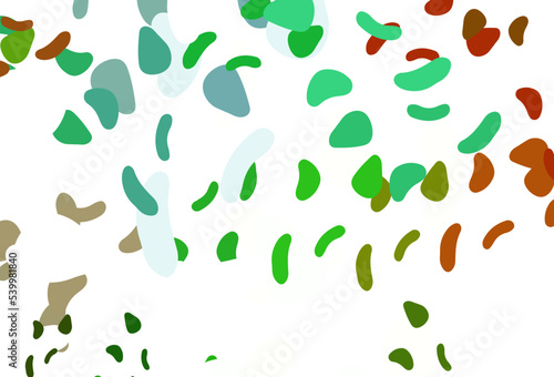 Light Multicolor, Rainbow vector backdrop with abstract shapes.