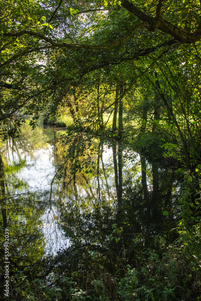 Reflets des arbres et feuillages sur la rivière Reflets des arbres et feuillages sur la rivière