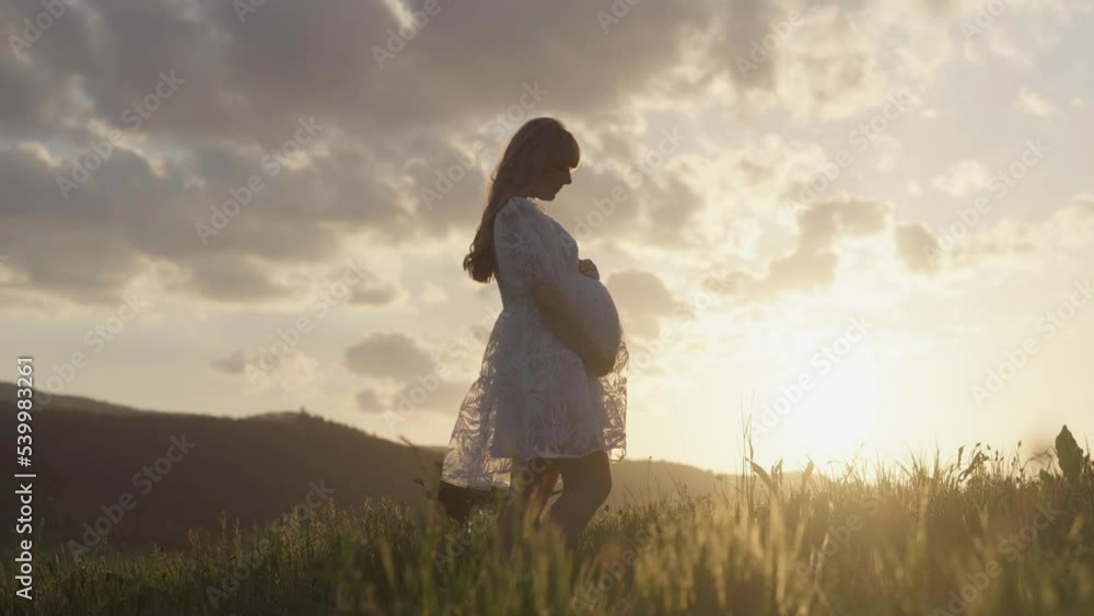 A pregnant woman and her husband are waiting for the birth of a child. Young family walk. A young pregnant girl and her boyfriend are relaxing in nature. Happy young couple in white shirt and dress. A pregnant woman and her husband are waiting for the birth of a child. Young family walk. A young pregnant girl and her boyfriend are relaxing in nature. Happy young couple in white shirt and dress.