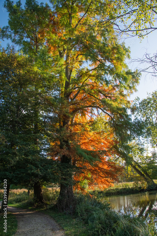 Reflets rouges et dorés d'automne sur l'eau du Lac