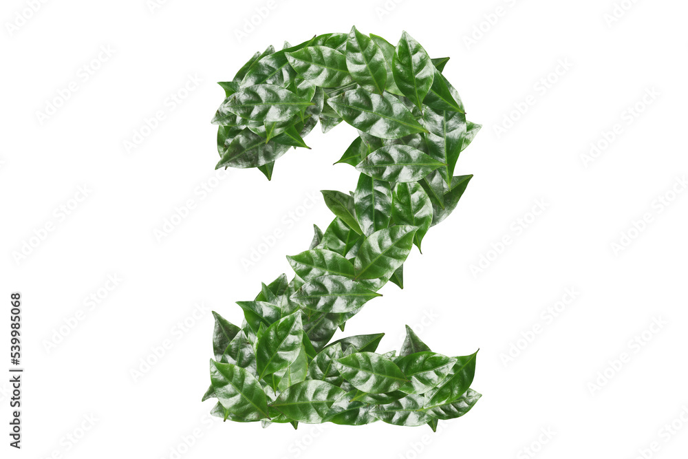 Number 2 made of fresh green leaves on white background