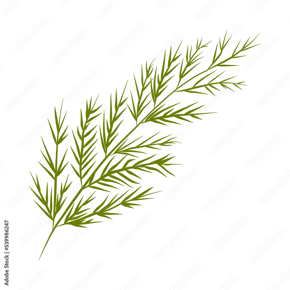 Fototapeta premium flower on white background Elements are isolated on a white background. Design for printing on cards, invitations