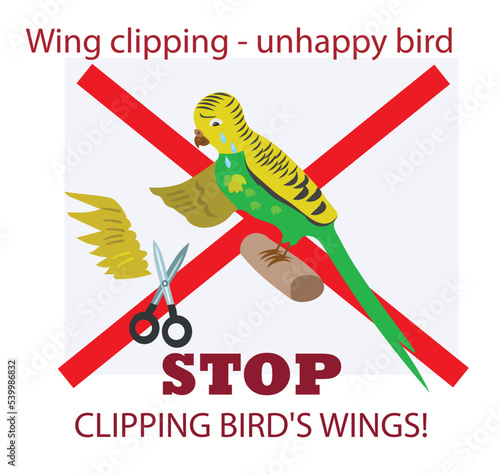 Wing clipping - unhappy bird. STOP CLIPPING BIRD'S WINGS! Sign about bird's health