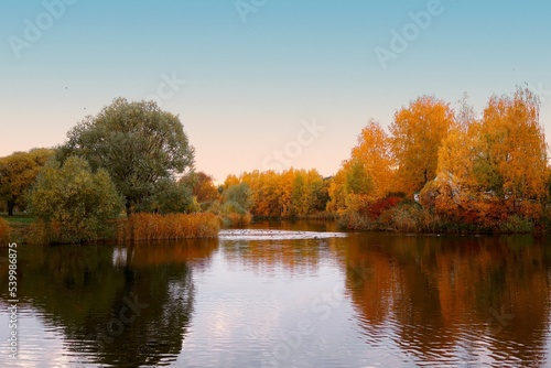 autumn in the park