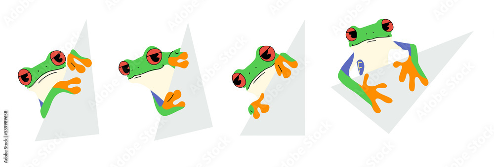 Fototapeta premium red-eyed tree frog cute and paper