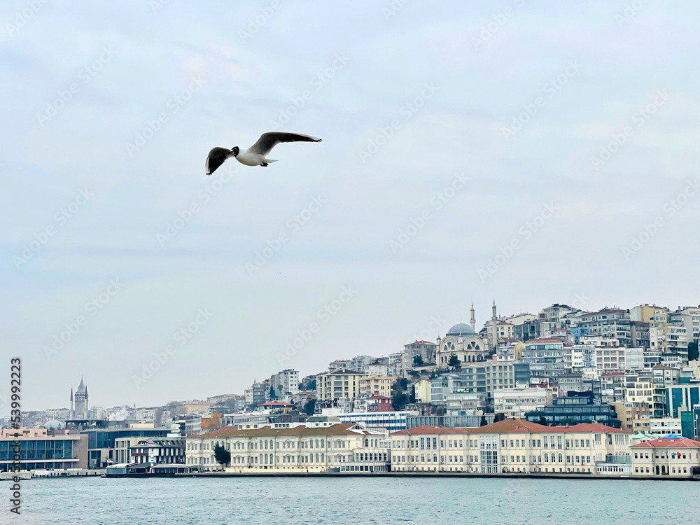 Seagulls fly in Istanbul, Turkey, sea against sky clouds backgroung
