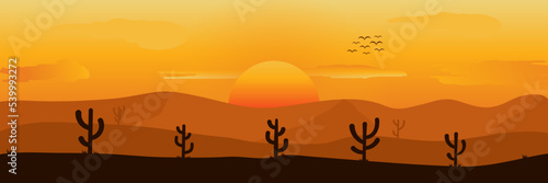 desert landscape