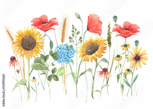 Beautiful floral composition with watercolor hand drawn field wild flowers. Stock clip art illustration.