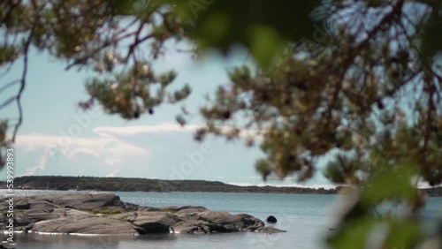 Summer island framed through trees in natural sunlight.
Nature environment, summer b-roll concept. photo