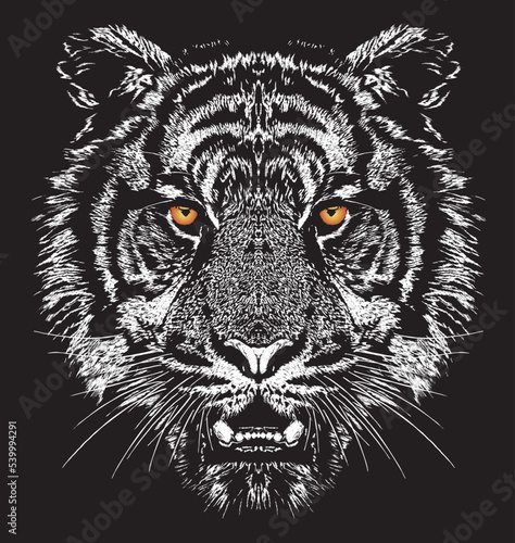 Tiger head Vector illustration design for t-shirt