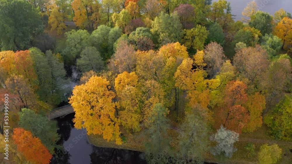 Flight in a park with a pond and a river in autumn with trees covered with yellow leaves of different shades Flight in a park with a pond and a river in autumn with trees covered with yellow leaves of different shades