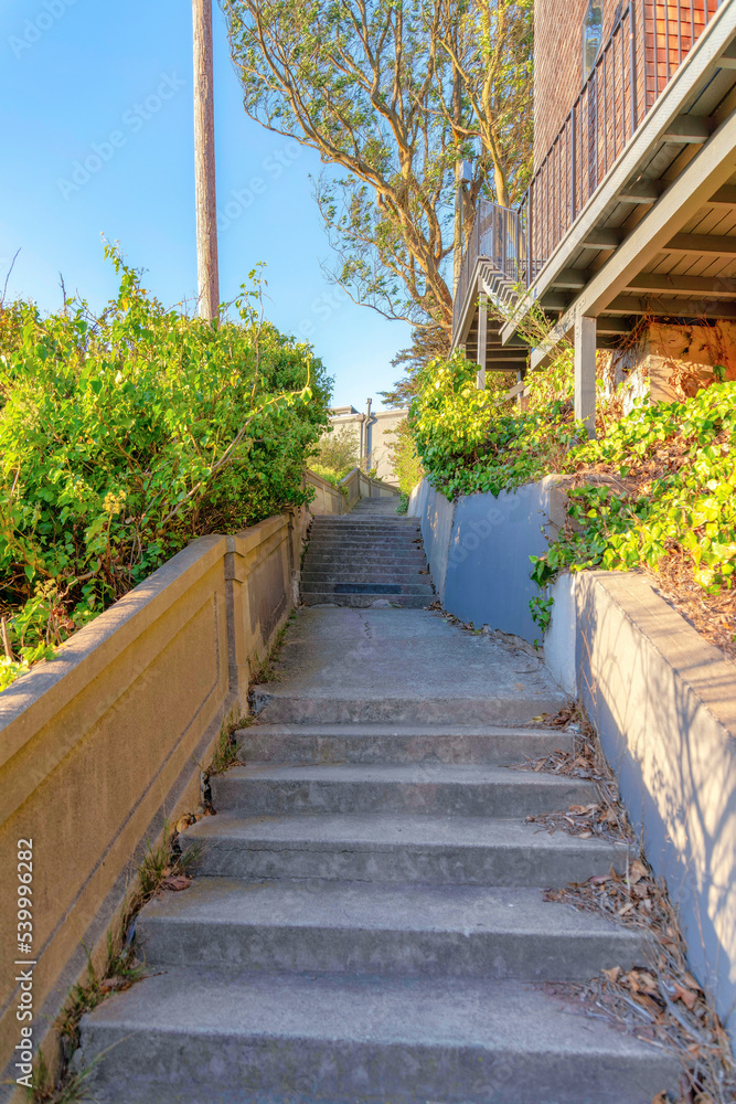 Staircase in between the walls with plants near the residential building in San Francisco, CA