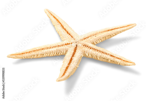 Fototapeta Naklejka Na Ścianę i Meble -  Beige starfish isolated on white background