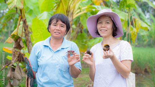 Asian woman, farmer holding...