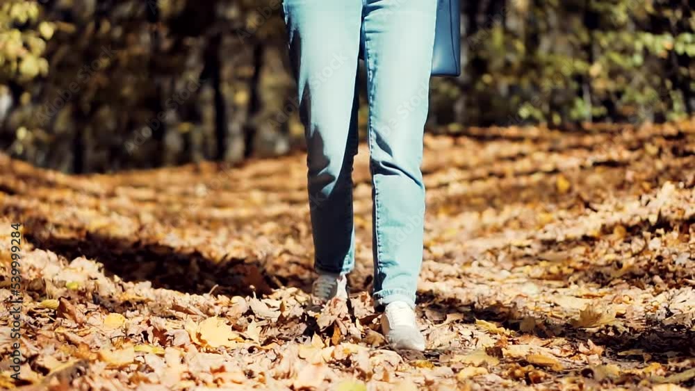 Stockvideo Woman Legs Walking On Fallen Leaves. Stylish Woman Legs In