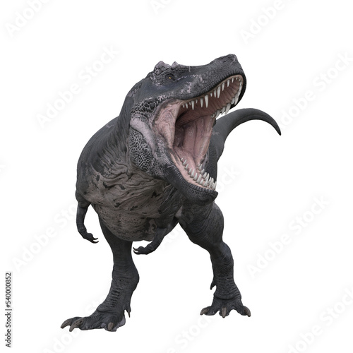 Tyrannosaurus Rex front view with mouth wide open attacking. 3D illustration isolated on transparent background.