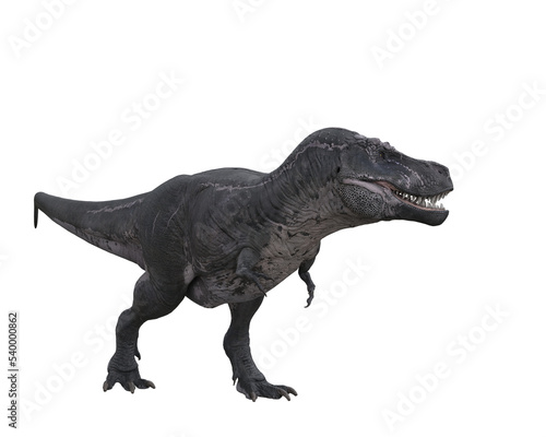 Tyrannosaurus Rex standing  seen from side view. 3D illustration isolated on transparent background.