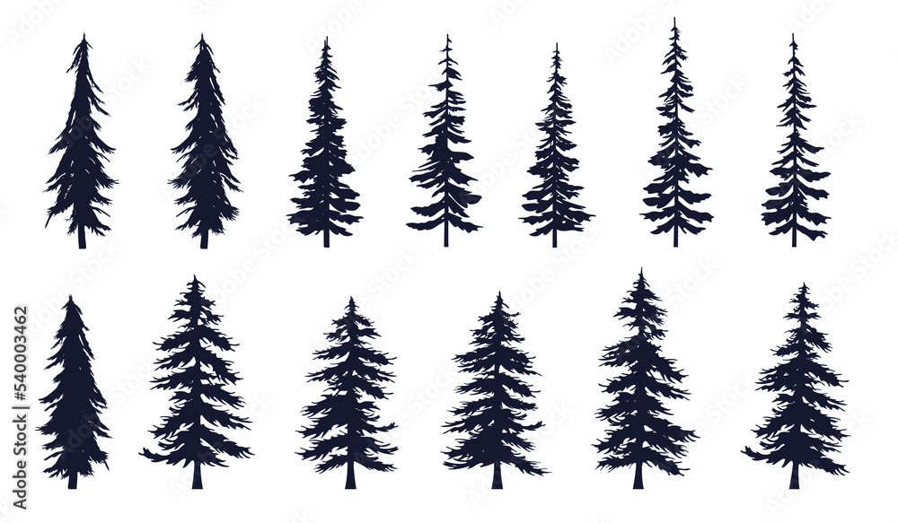 Pine and coniferous tree collection - Vector illustration collection of various silhouettes of  forest trees on white background