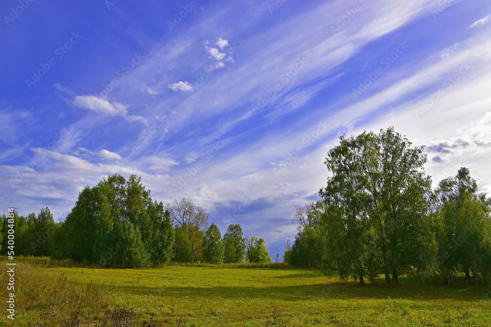 Autumn sky with light clouds