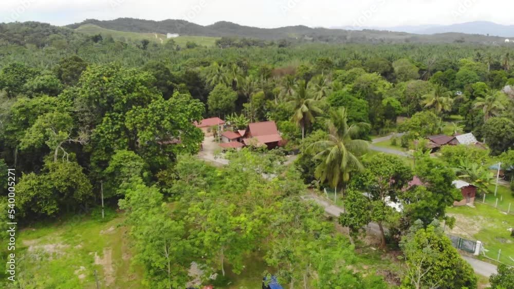 Aerial view of houses surrounded by exotic green trees Aerial view of houses surrounded by exotic green trees