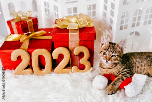 Photography The cat lies and holds Santa hat next to the numbers of the upcoming new year 20