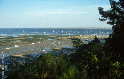 Pointe aux Chevaux, Grand Pique, Lege Cap Ferret, Bassin d'Arcachon, Gironde, 33