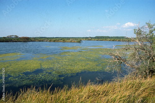 R  serve  Sentiers du littoral  Domaine de Certes et Graveyron  Bassin d Arcachon  Gironde  33