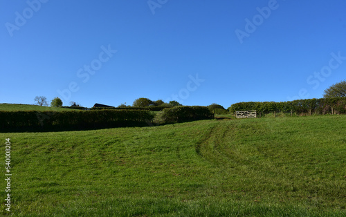 Lush Green Grass Field Under Blue Skies in Ennerdale