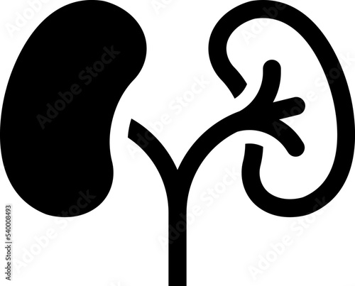 Kidneys organ icon