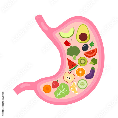 Healthy stomach with fruits and vegetables in flat design on white background.
