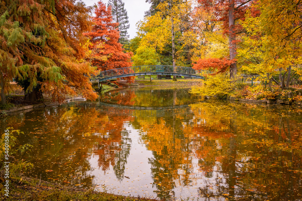Pond, bridge and colored trees in the Jardin Public park in Autumn in Bordeaux, France Pond, bridge and colored trees in the Jardin Public park in Autumn in Bordeaux, France
