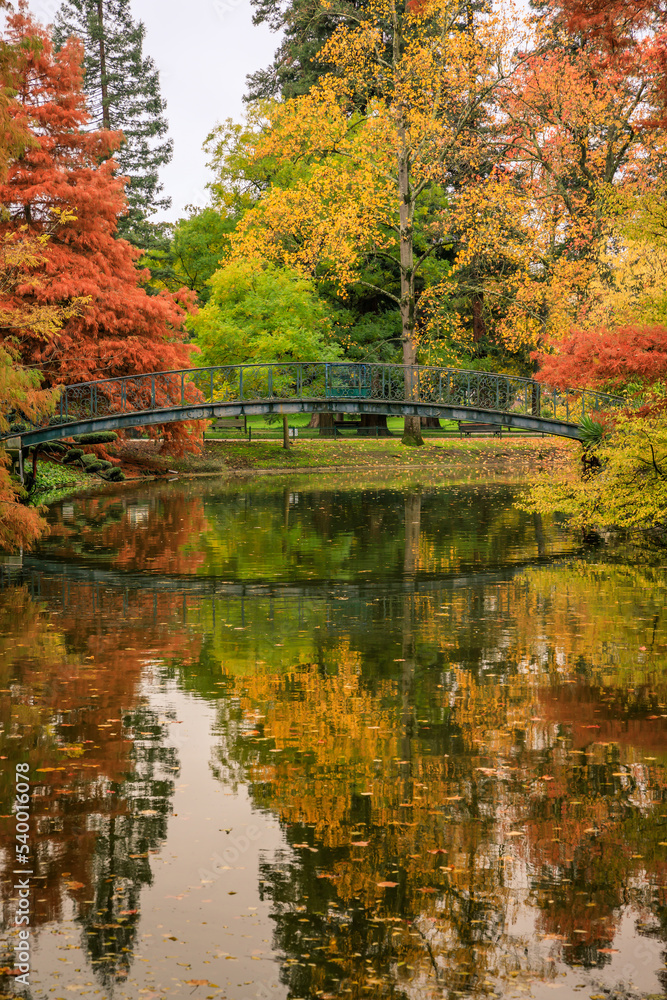 Fototapeta premium Colored trees and footbridge of the Jardin Public park in Autumn in Bordeaux, France