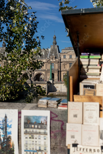 Bouquiniste sur les quais de Seine à Paris  (France)