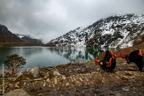 Beautiful view of the Tsomgo Lake in Sikkim, India on a gloomy day photo
