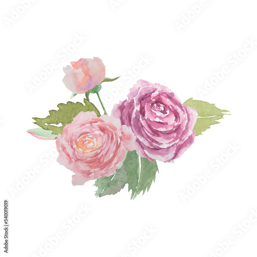Watercolor hand drawn vintage pink and purple roses with green leaves isolated on white background.