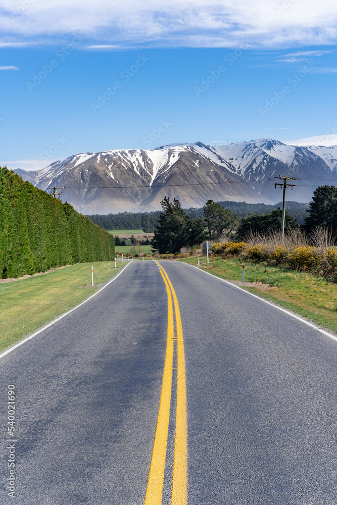 Fototapeta premium Landscape of Canterbury, South Island New Zealand, taken on the Inland Scenic Route 72, with wild bushes and snow-covered Alps in the background.