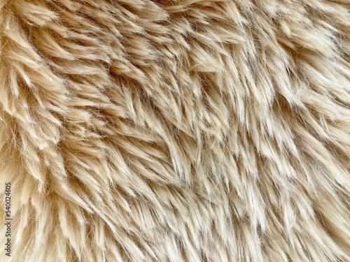 wool rug for texture background