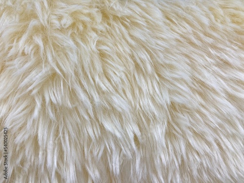 wool rug for texture background