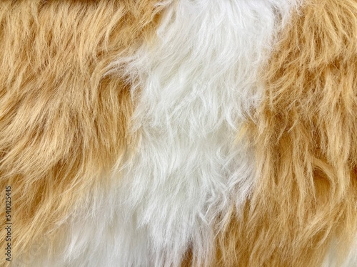 wool rug for texture background