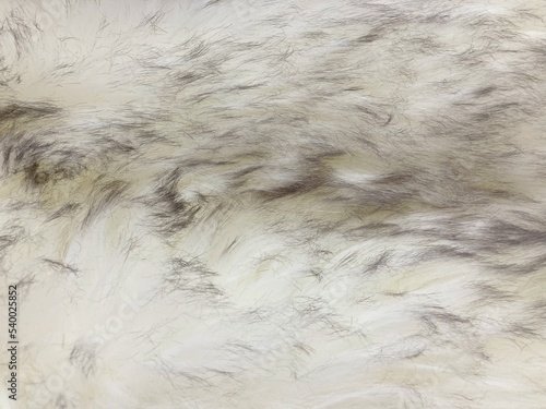 wool rug for texture background