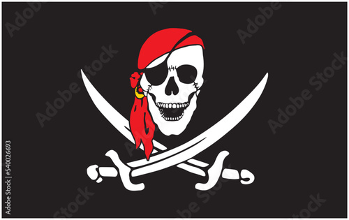 jolly roger pirate skull flag