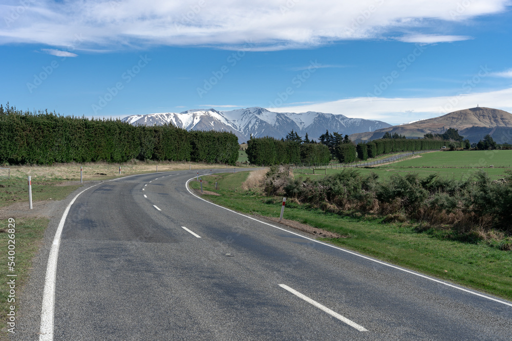 Naklejka premium Landscape of Canterbury, South Island New Zealand, taken on the Inland Scenic Route 72, with wild bushes and snow-covered Alps in the background.